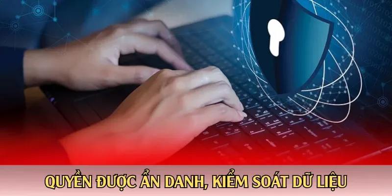 Quyền được ẩn danh, kiểm soát dữ liệu