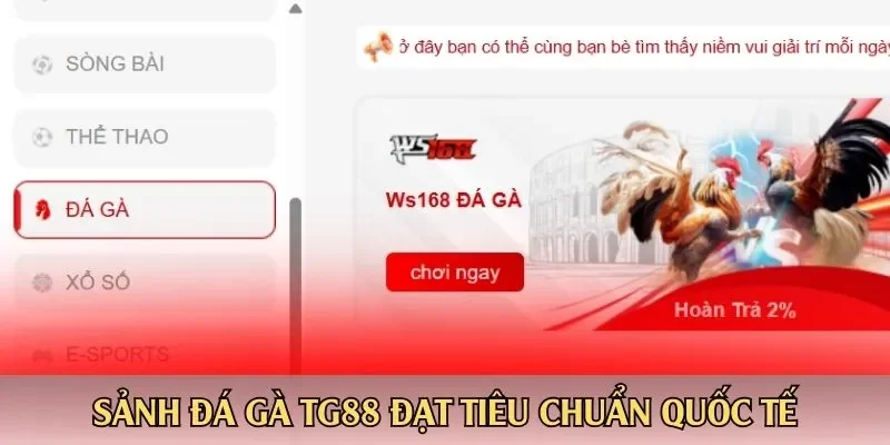 Sảnh đá gà TG88 đạt tiêu chuẩn quốc tế