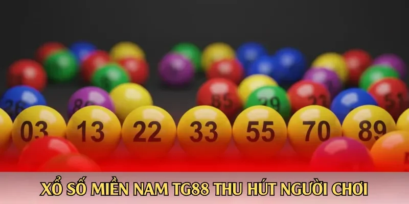 Xổ số miền Nam TG88 thu hút người chơi